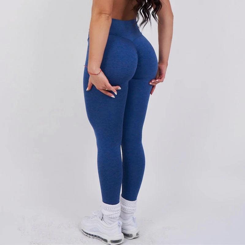 Yoga/Gym Pants - AEI 97